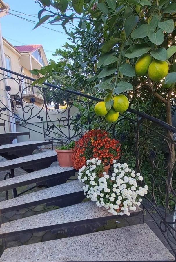 ホテル House On Ganja Street クタイシ エクステリア 写真